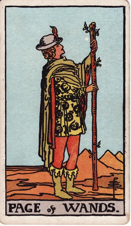 Carta de tarot Valete de Paus