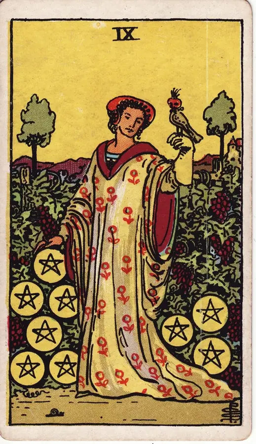 Carta de tarot Nove de Ouros